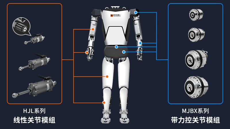高性能人形机器人关节模组选型的关键技术要素