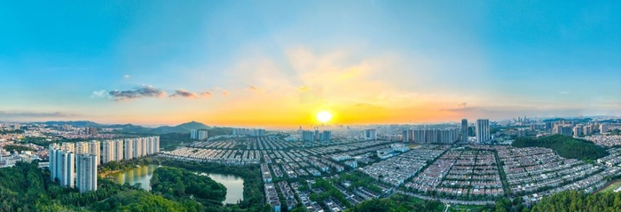 规上工业总产值增长13.2%！番禺上半年经济在蓄势蓄能中量质提升