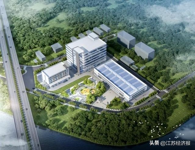 项目效果图