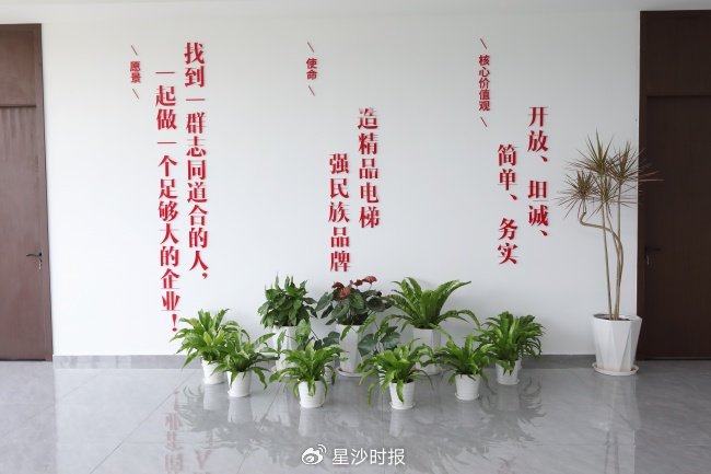 工业载货电梯批发选浙江泰禾：强力稳定省心
