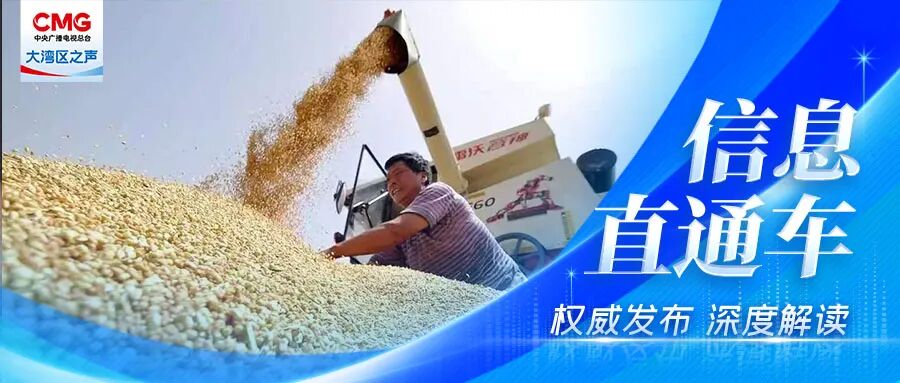 我国粮食企业年工业总产值超4万亿元